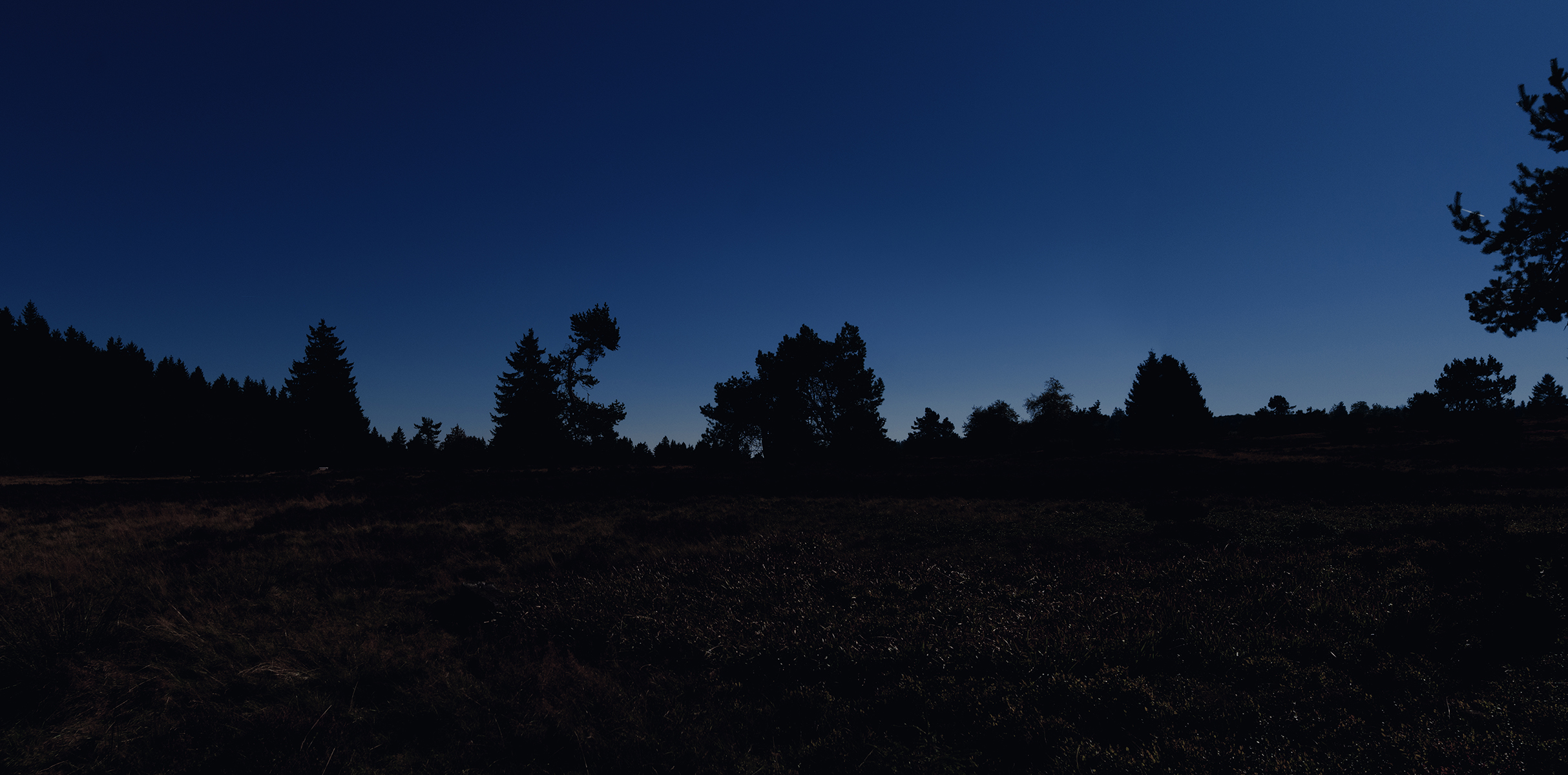 DSC6181_n-s
