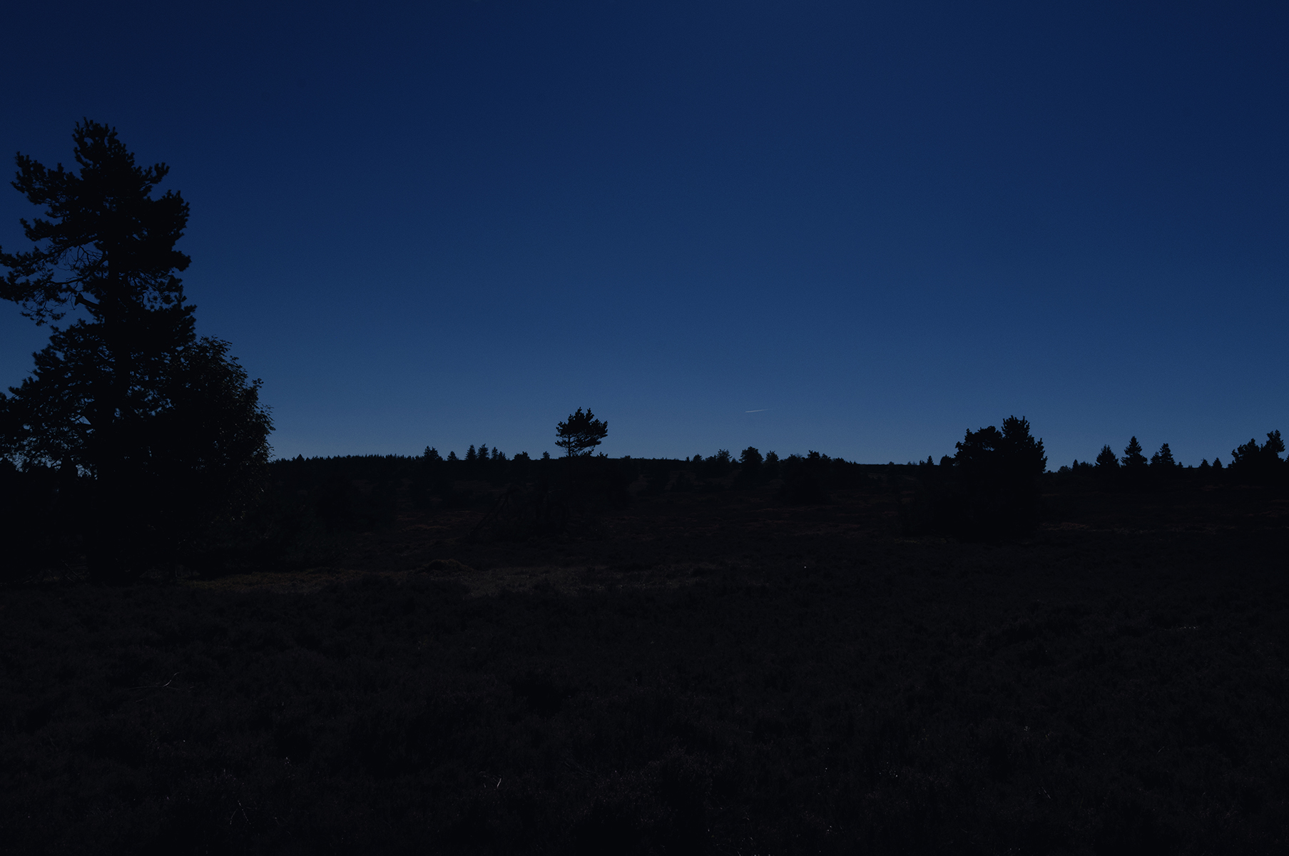 DSC6184_n-s