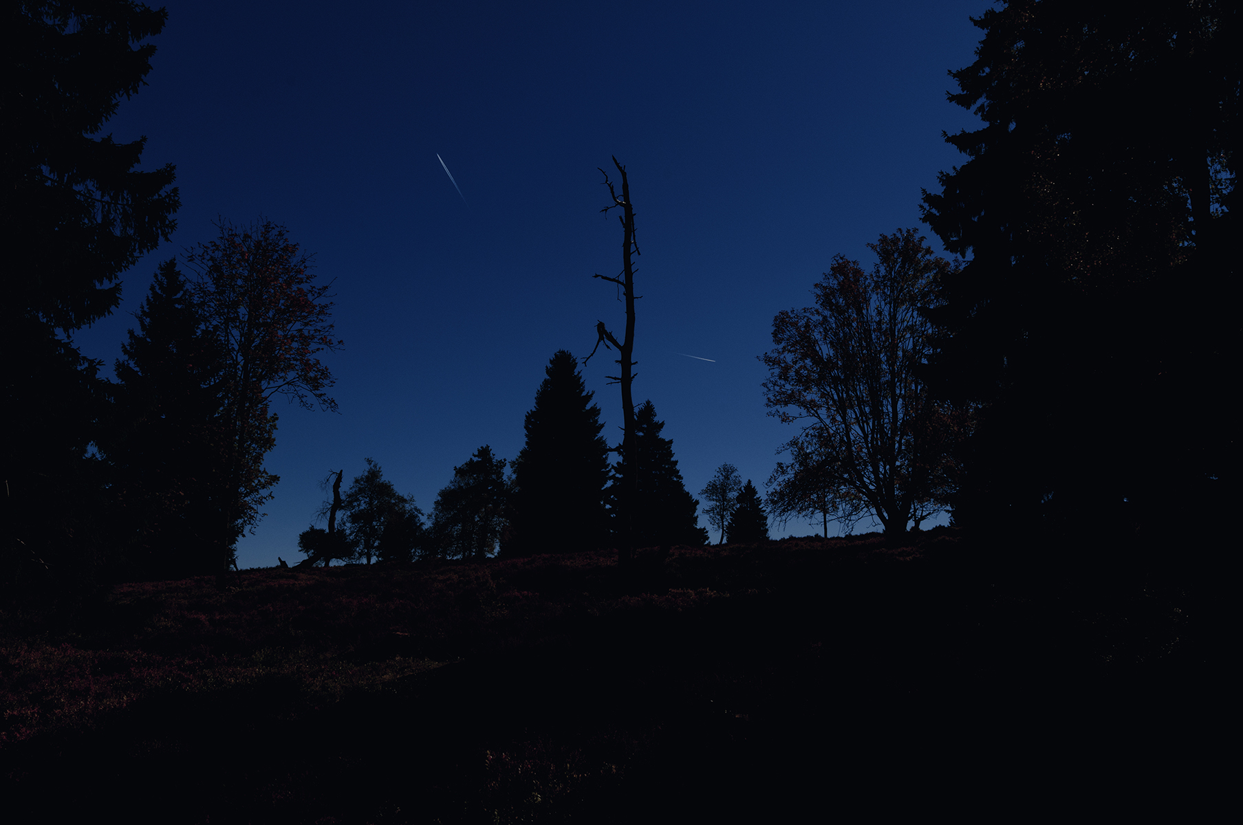 DSC6205_n-s